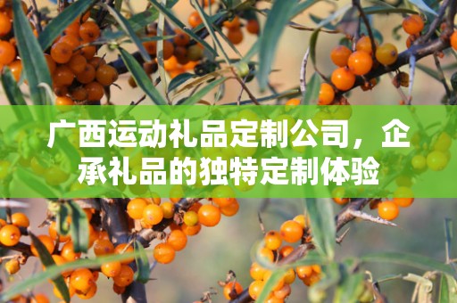 广西运动礼品定制公司，企承礼品的独特定制体验