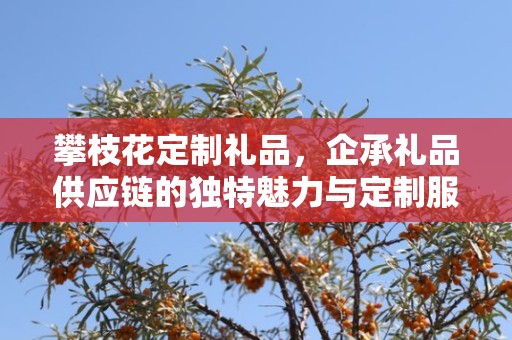 攀枝花定制礼品，企承礼品供应链的独特魅力与定制服务