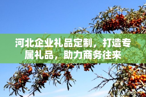 河北企业礼品定制，打造专属礼品，助力商务往来