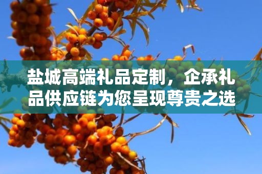盐城高端礼品定制，企承礼品供应链为您呈现尊贵之选